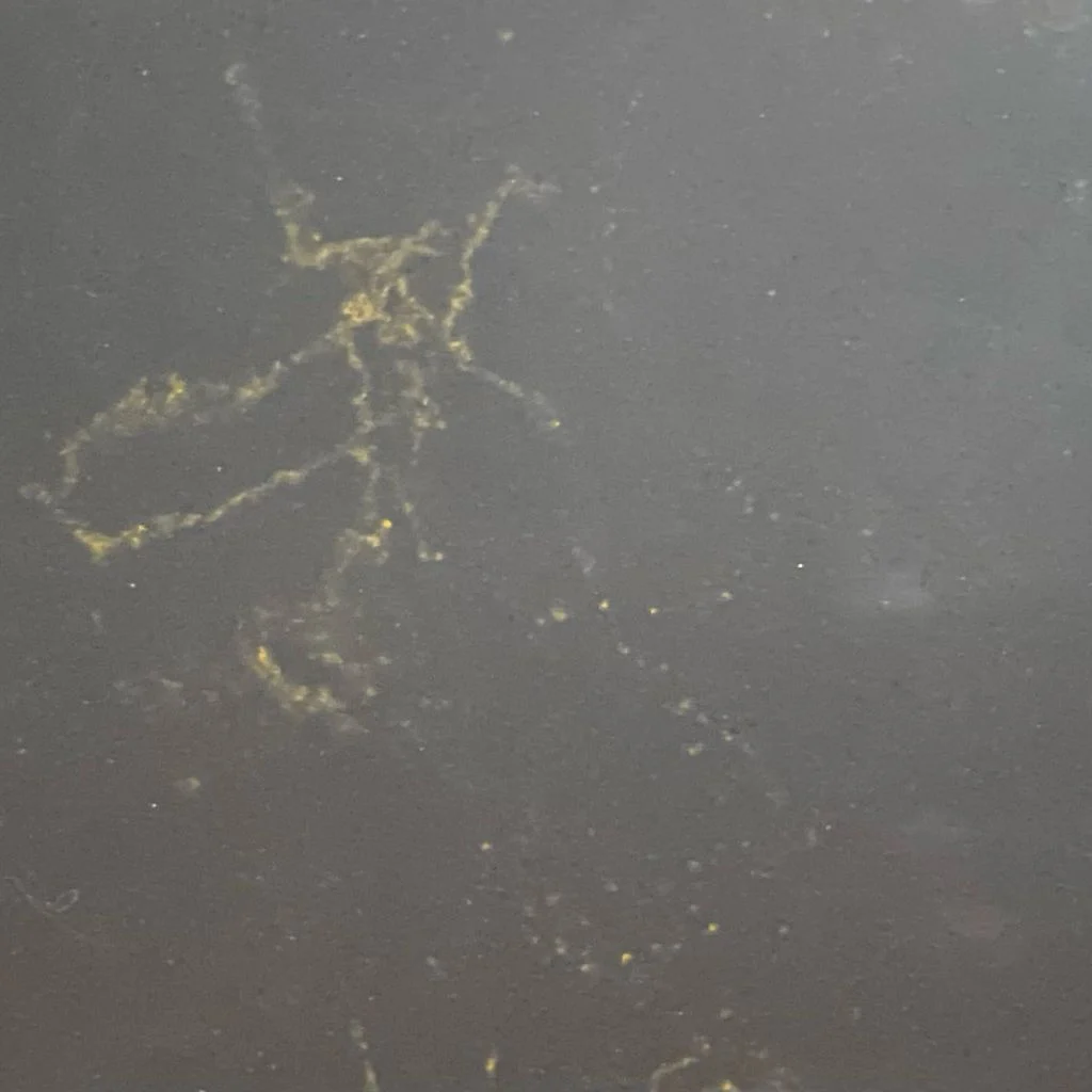 محصولات 20 1052