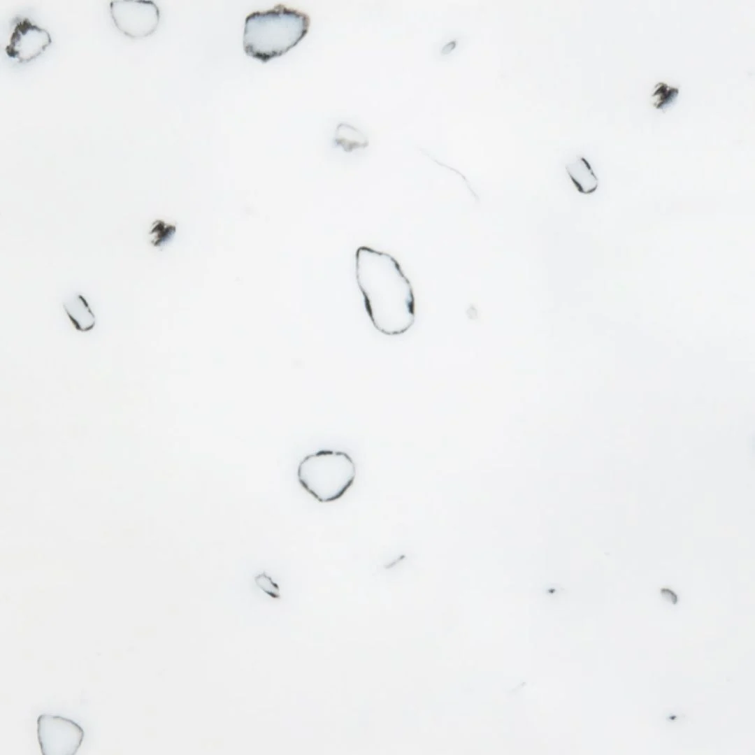 Black and White GR310