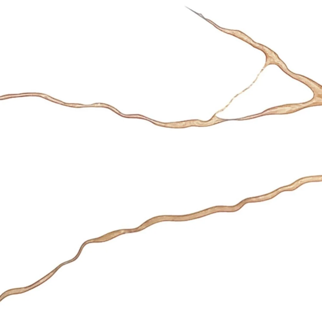 STREAM WHITE-GOLD ML705