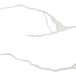 STREAM WHITE-SHELL ML 704